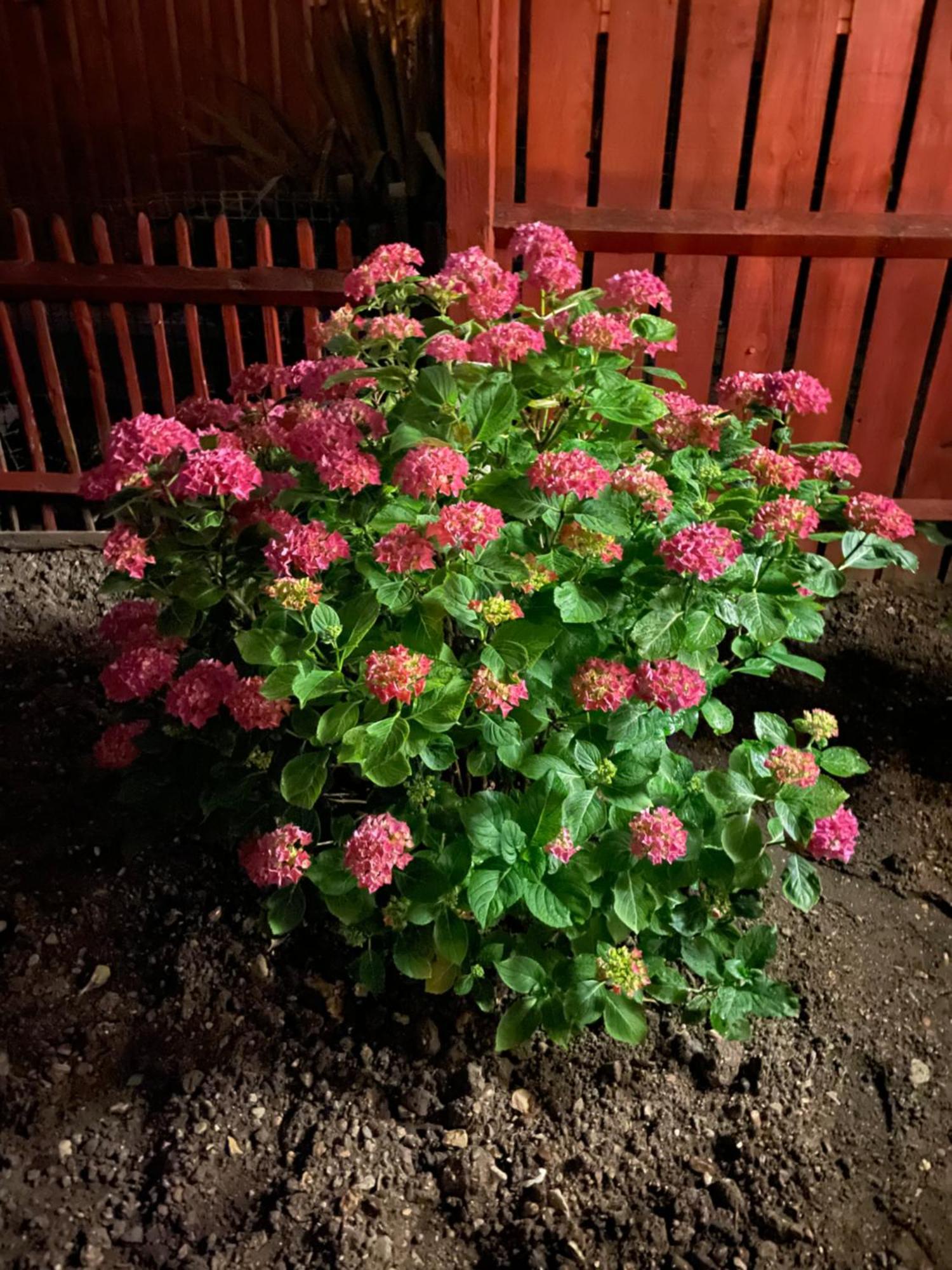 Queenomega'S Home Stay ロンドン エクステリア 写真